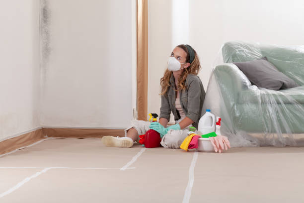 Reliable Mold Cleanup contractor in Grandville, MI by WQB Mold Removal